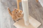 Krabstam met Jute en Pluche, Beige – Trixie Batres - Afbeelding 3