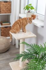 Krabpaal met Sisalstam 69 cm Beige – Trixie Baena - Afbeelding 4