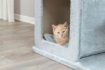 Kattenkrabpaal met Grot en Ligplateau in Saliegroen – Trixie Elena - Afbeelding 2