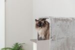 Kattenkrabpaal met Grot, Grijs – Trixie Marina - Afbeelding 5