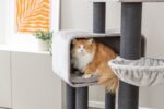 Kattenkrabpaal XXL voor Grote Katten – Trixie Rafael - Afbeelding 4