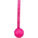 Drijvende Hondenbal met Band, Roze, – Trixie Soft & Strong - Afbeelding 2