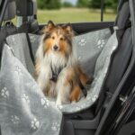Hondenautostoelhoes voor Achterbank met Hoge Zijkanten – Trixie 13230-TRXI