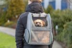 Draagrugzak voor Hond en Kat met Heupgordel Lichtgrijs – Trixie Chloe - Afbeelding 6