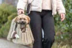 Honden- en Kattendraagtas met Bovenopening voor Dieren tot 7 kg – Trixie Sophie - Afbeelding 6