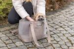 Honden- en Kattentransporttas met Uitneembare Bodemplaat Zand – Trixie Mary - Afbeelding 4