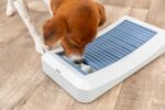 Honden Strategiespel met Schuifstaafjes – Trixie Dog Activity Rod Board - Afbeelding 3