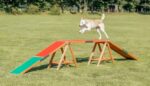 Agility Loopbrug met Antisliplaag en Contactzones – Trixie Fun Agility Steg