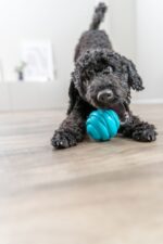 Stevige Drijvende Hondenbal van TPR in Petrol – Trixie Super Strong Ball - Afbeelding 3