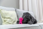 Hondenwerpspeelgoed Hantel Drijvend Roze – Trixie Soft & Strong - Afbeelding 3