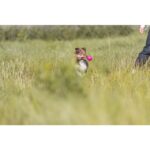 Drijvende Hondenbal met Band, Roze, – Trixie Soft & Strong - Afbeelding 3
