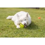 Hondenrugbybal van TPE met Honingraatstructuur in Lime, 11 cm – Trixie 33544-TRXI - Afbeelding 2