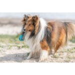 Honden Honingraatbal aan Touw van TPE – Trixie 33545-TRXI - Afbeelding 2
