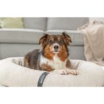 Orthopedisch – Trixie Vital Bett CityStyle - Afbeelding 4