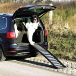 Opvouwbare Hondenloopplank met Antislip – Trixie 39477-TRXI - Afbeelding 2