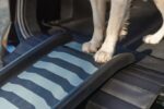 Opvouwbare Hondenloopplank met Antislip – Trixie 39477-TRXI - Afbeelding 5