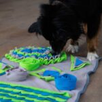 Intelligente Snuffelmat voor Honden met Diverse Verstopmogelijkheden – PROCYON PS-140663 - Afbeelding 3