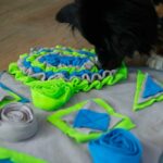 Intelligente Snuffelmat voor Honden met Diverse Verstopmogelijkheden – PROCYON PS-140663 - Afbeelding 5
