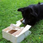 Honden Intelligentiespeelgoed van Onbehandeld Hout met 3 Toetsen – PROCYON PS-90336 - Afbeelding 2